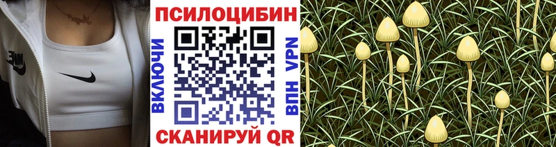 Галлюциногенные грибы мухоморы Отрадная